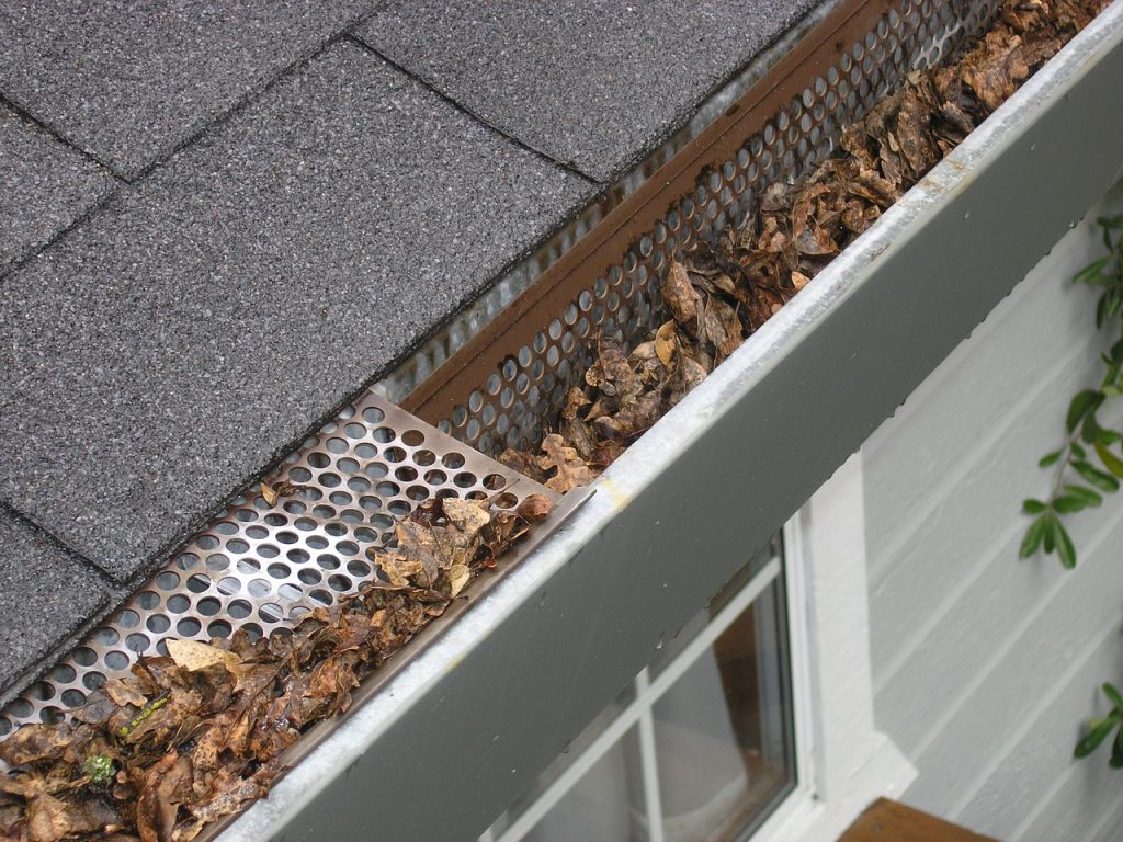 Gutters clogged with leaves.