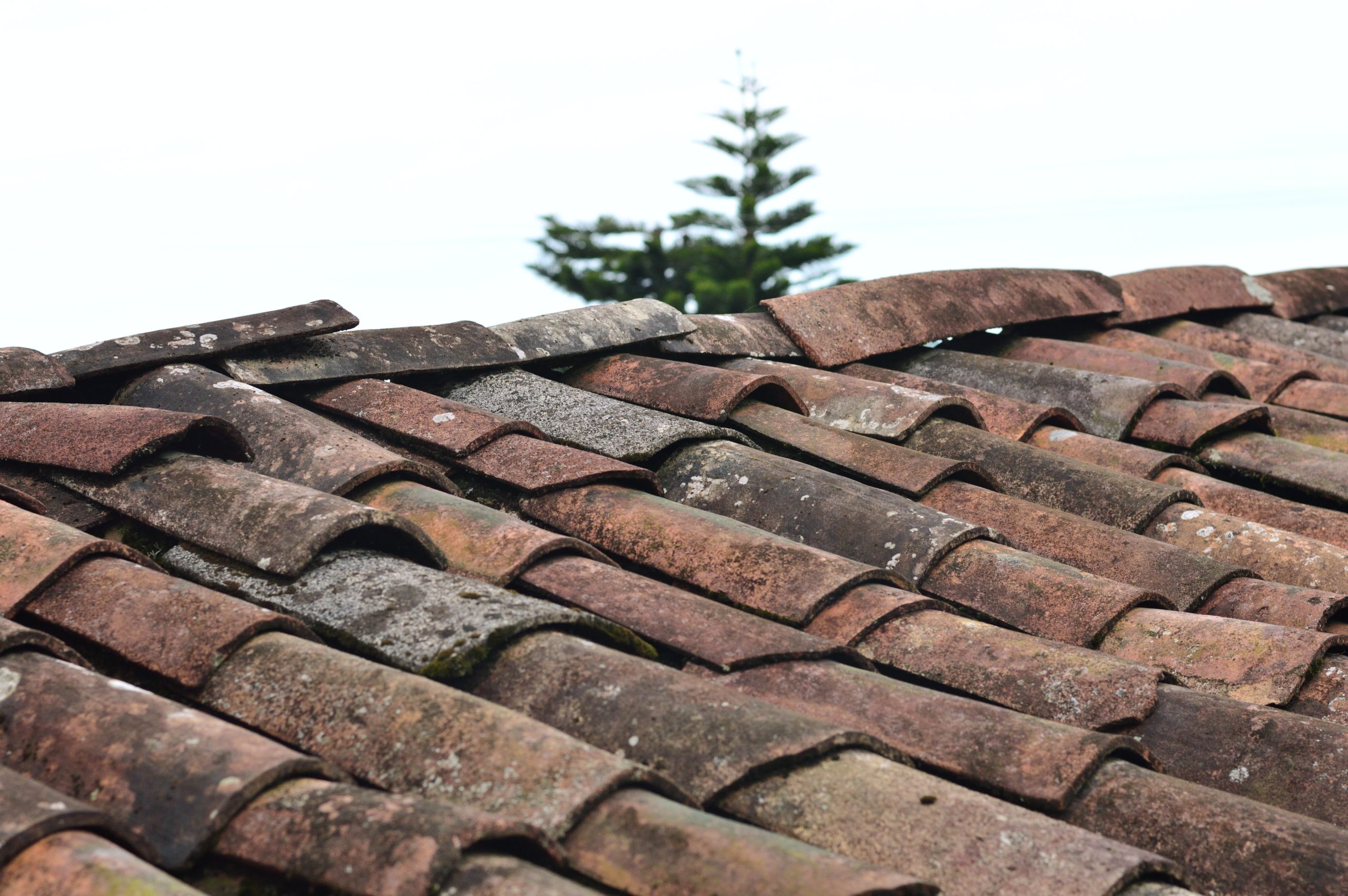 A roof covered in old and damaged shingles can be one of the early signs you have a roof leak coming.