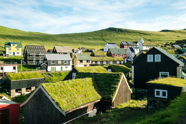 Houses with green roofs.