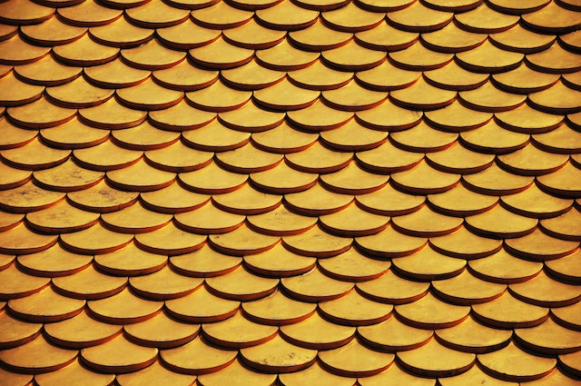 close-up of conical shingles