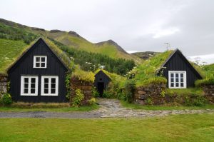 Two houses with green roofs.