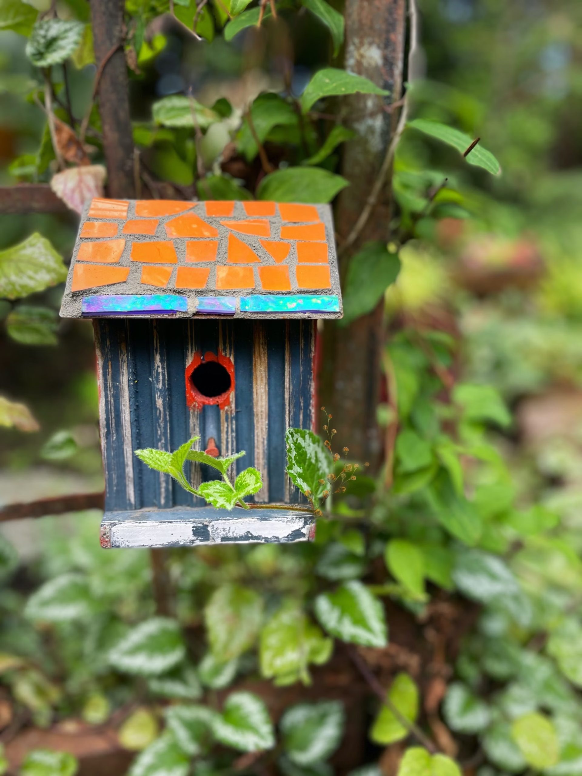 A small blue birdhouse outdoors.
